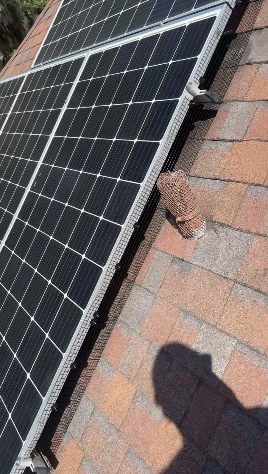 Critter guard mesh installed on solar panel perimeter